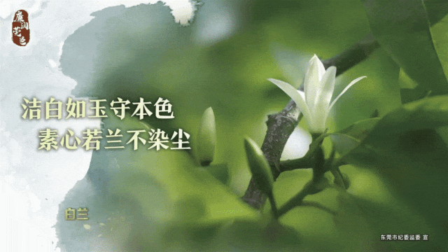 篮球周训练计划安排表_2